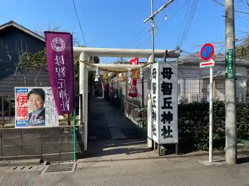 母智丘神社の{uncategorized: "未分類", other: "その他", undefined: "問題あり", building: "その他建物", grave: "お墓", sacred_gate: "鳥居", guardian: "狛犬", statue: "像", buddha: "仏像", history: "歴史", nature: "自然", garden: "庭園", animal: "動物", pagoda: "塔", temizu: "手水舎", mountain_gate: "山門・神門", sanctuary: "本殿・本堂", subordinate: "末社・摂社", art: "芸術", scenery: "景色", jizo: "地蔵", ema: "絵馬", goshuin: "御朱印", omikuji: "おみくじ", items: "授与品その他", amulet: "お守り", goshuincho: "御朱印帳", eats: "食事", festival: "お祭り", votive_dance: "神楽", shichigosan: "七五三参", wedding: "結婚式", experience: "体験その他", initially: "初詣", around: "周辺", anti_infection: "感染症対策"}