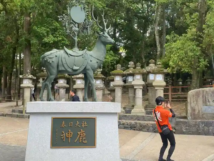 春日大社(奈良県)
