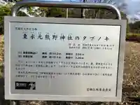 熊野神社(東京都)