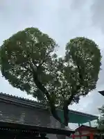 南宮宇佐八幡神社(脇浜神社)の自然