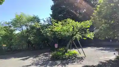 平野神社(京都府)