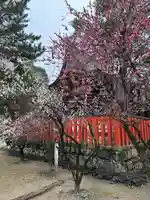 佐太神社(佐太天神宮)(大阪府)
