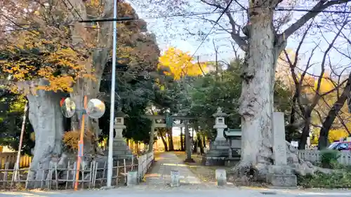 雀神社(茨城県)