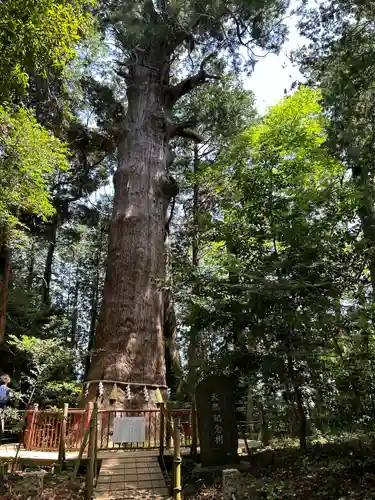 麻賀多神社(千葉県)