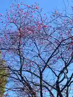 留魂祠(西郷隆盛碑)(東京都)