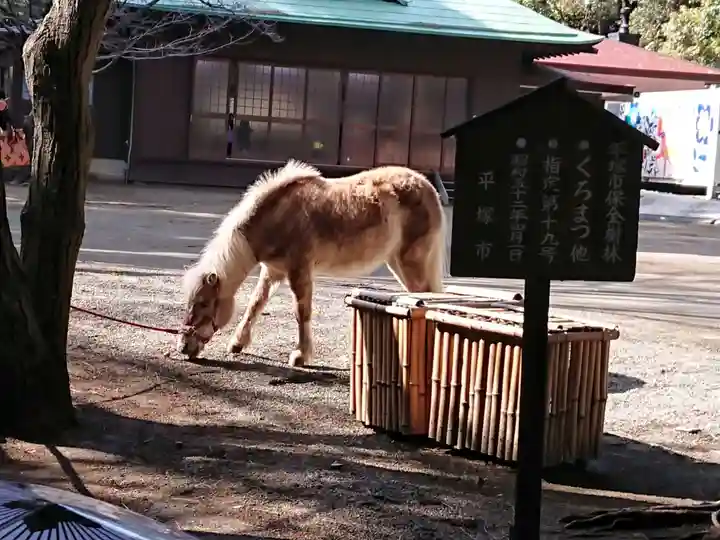 平塚八幡宮(神奈川県)