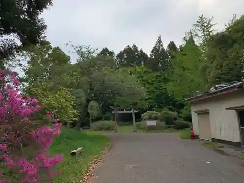 湯殿山神社の鳥居