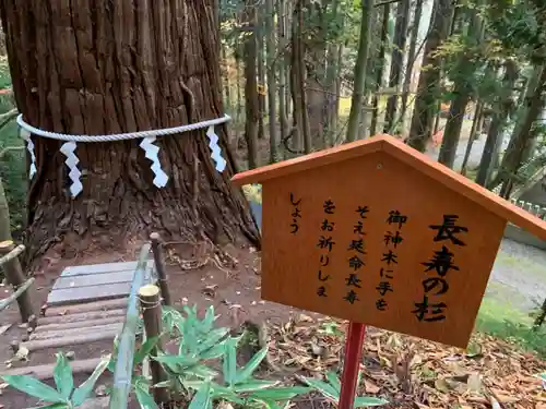 志和稲荷神社の自然