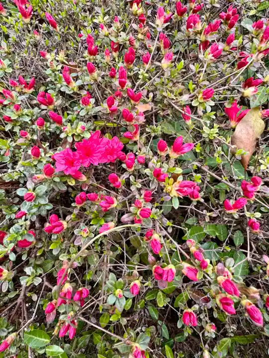 芳養八幡神社(和歌山県)