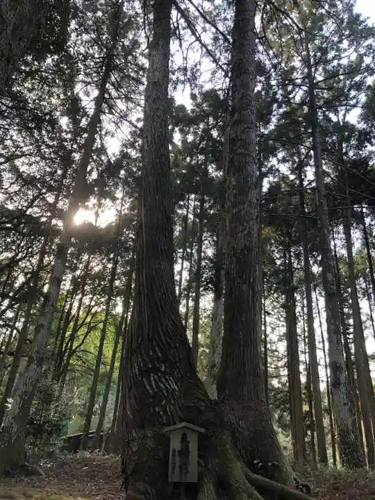 六所神社(千葉県)