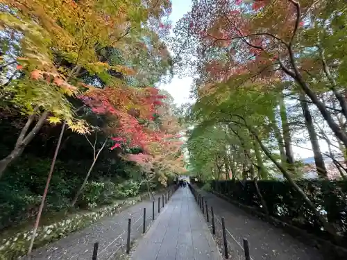光明寺（粟生光明寺）(京都府)