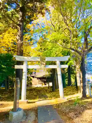 岡見八坂神社の鳥居