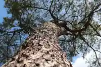 三津厳島神社(愛媛県)