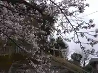 天日神社(福井県)
