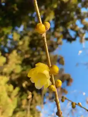 羽黒山神社(栃木県)
