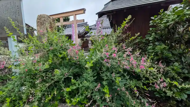 大松禅寺(京都府)