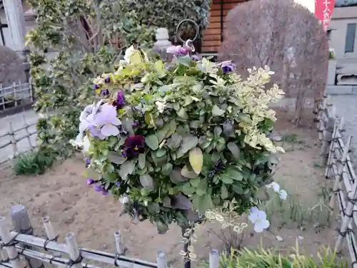 観性寺(群馬県)