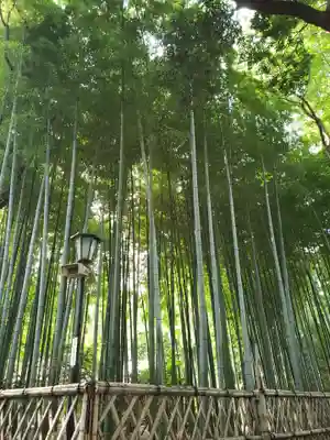 大宮八幡宮のその他建物
