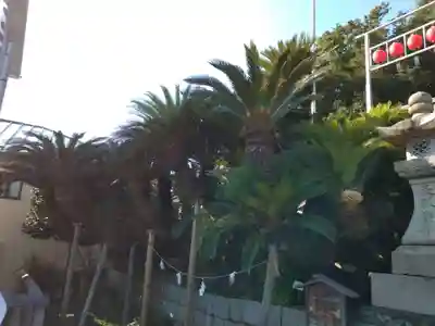 叶神社（東叶神社）(神奈川県)