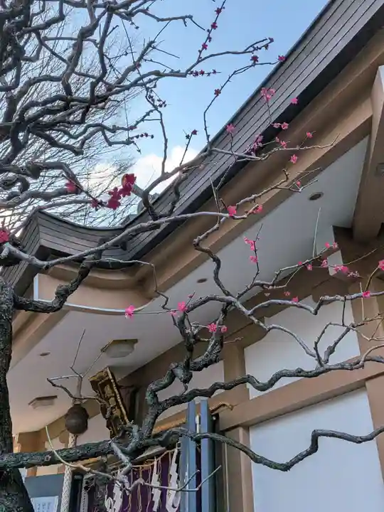 穏田神社(東京都)