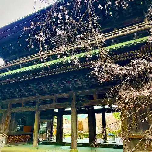 日蓮宗 総本山 塔頭 定林坊(じょうりんぼう)(山梨県)