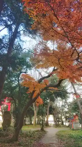 若宮神明社の自然