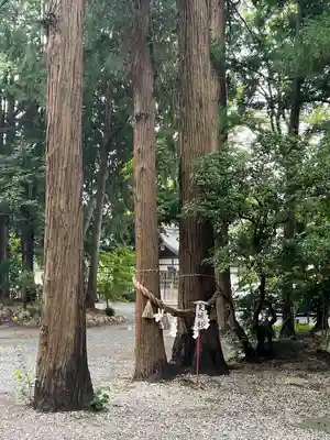 駒形神社(岩手県)
