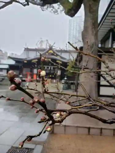 熊野神社の自然