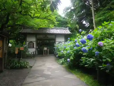 明月院の山門・神門