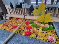 高円寺氷川神社の手水舎