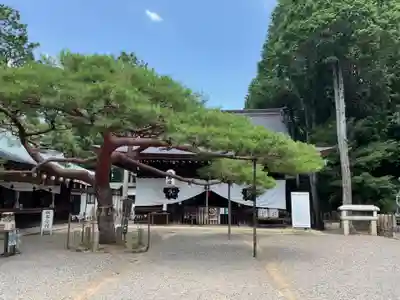 尾張冨士大宮浅間神社(愛知県)