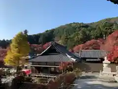 普門寺(切り絵御朱印発祥の寺)の景色