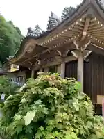 連祥院の本殿・本堂