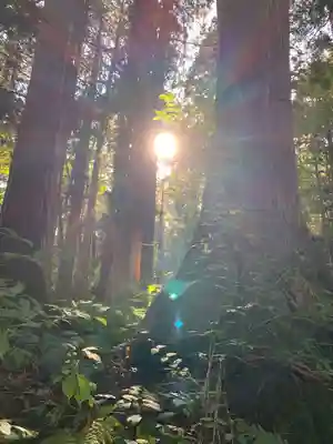 戸隠神社中社(長野県)