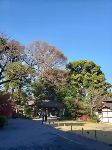 阿佐ヶ谷神明宮(東京都)