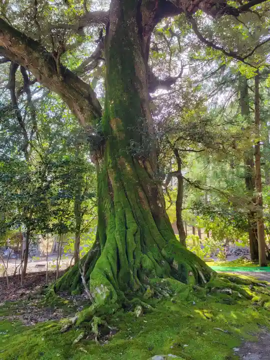 若狭神宮寺(福井県)