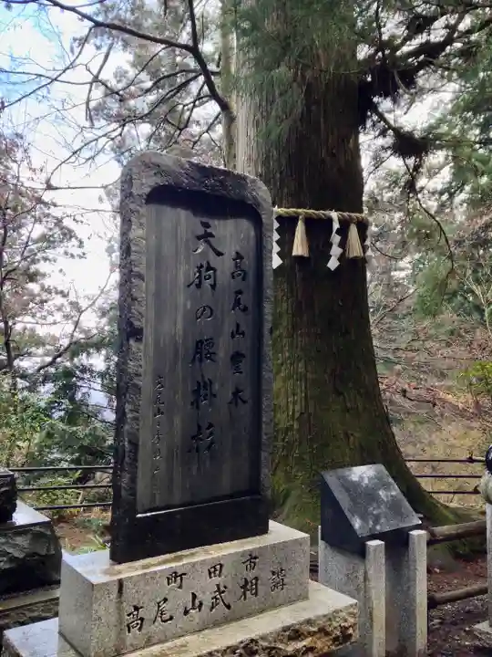 高尾山薬王院(東京都)