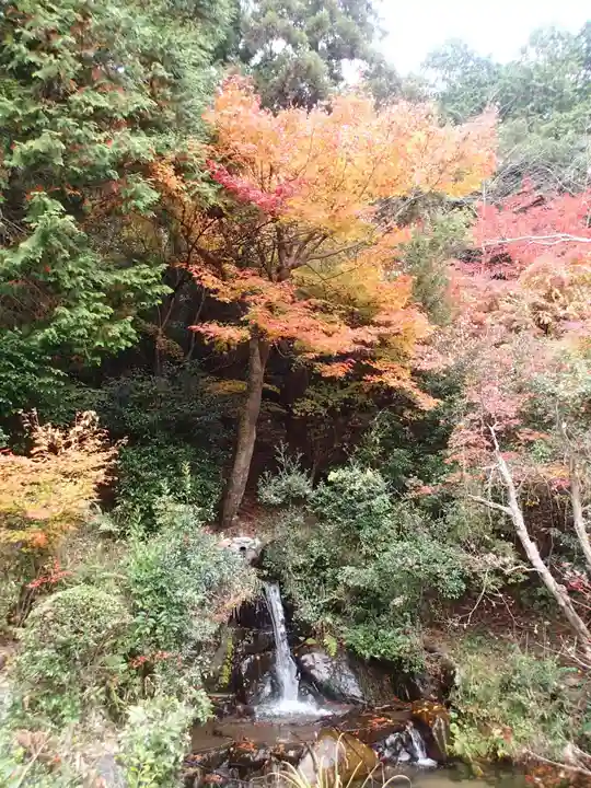 三宅八幡宮の自然