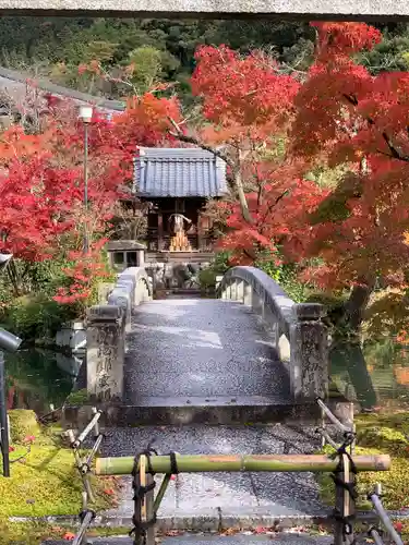 禅林寺（永観堂）(京都府)