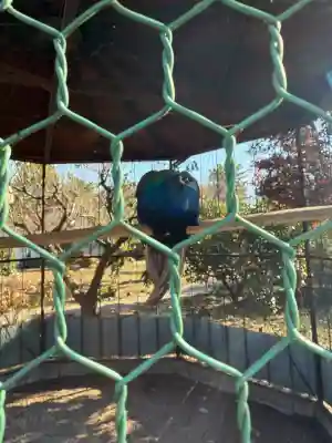 進雄神社(群馬県)
