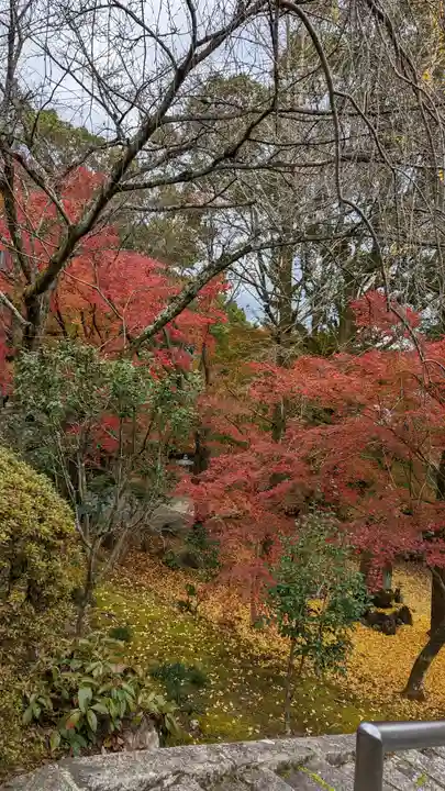 岩屋寺(京都府)