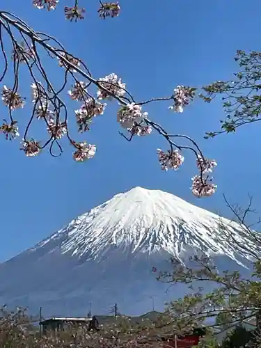 富士山本宮浅間大社(静岡県)
