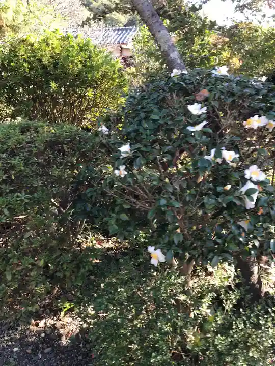 明王院(神奈川県)