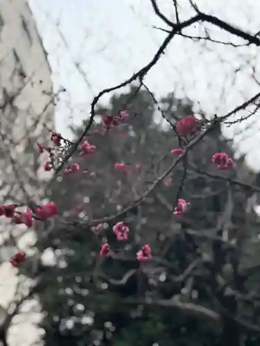 牛天神北野神社(東京都)
