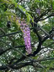 大生郷天満宮の自然