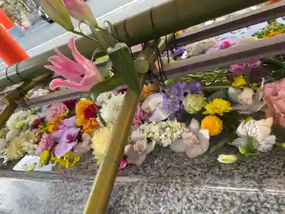 生田神社(兵庫県)