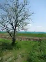 観音寺(茨城県)