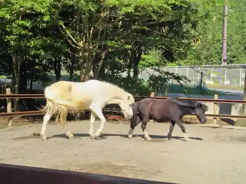 丹生川上神社（下社）(奈良県)