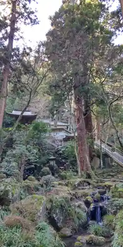 最乗寺（道了尊）(神奈川県)