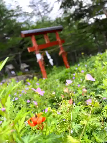 山の神神社(長野県)